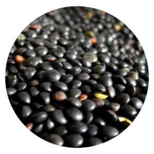 Lentilles Beluga 25kg Légumor