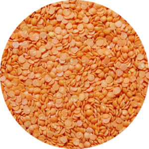 Lentilles corail 25kg Légumor