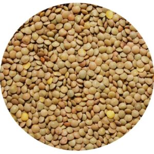 Lentilles blondes 6mm 25 kg Legumor