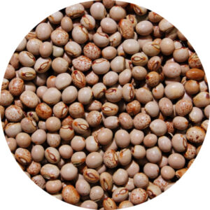 Pois Angola 25 kg Legumor